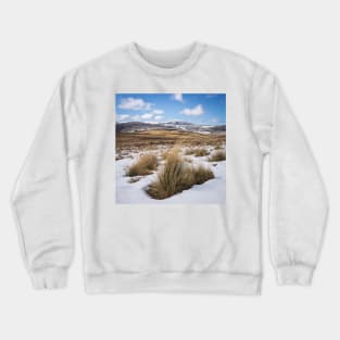 Snowed In Grasses Crewneck Sweatshirt